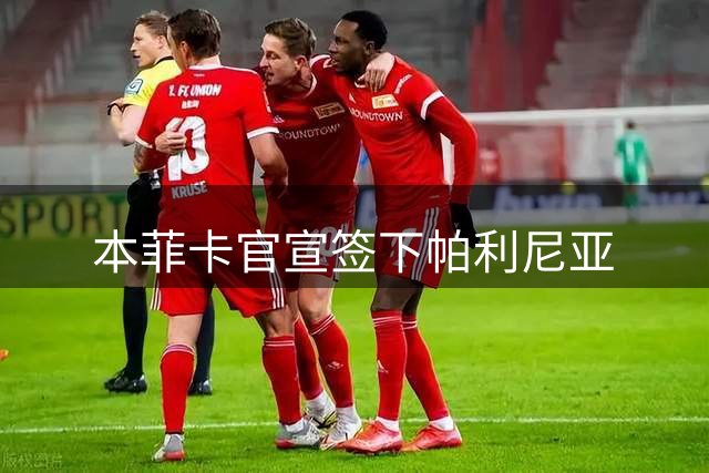 本菲卡官宣签下帕利尼亚