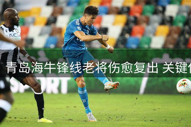 青岛海牛锋线老将伤愈复出 关键保级战或迎战津门虎