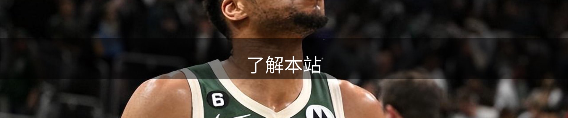 了解本站