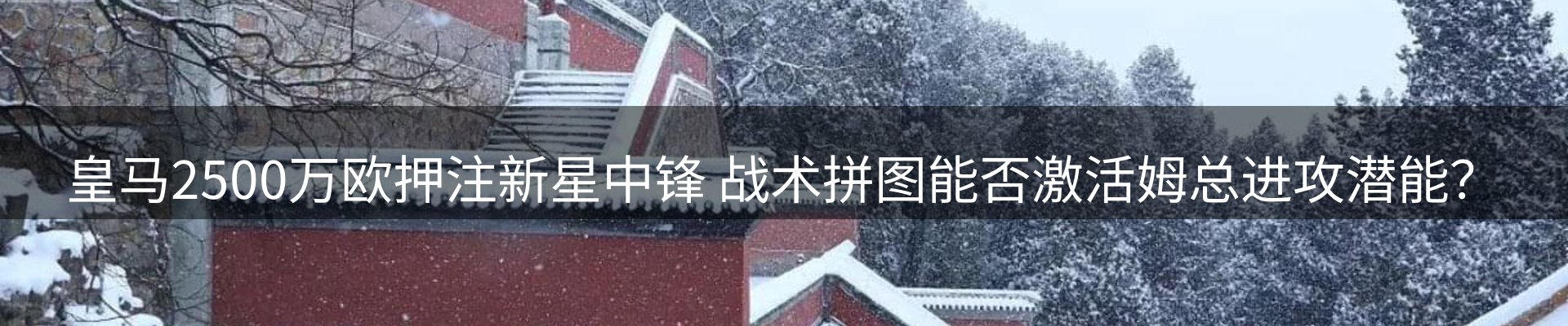 新闻中心